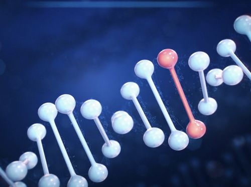Thumbnail image for "Phenylketonuria (PKU)"